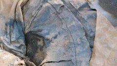 填埋場(chǎng)工程滲漏檢測(cè)應(yīng)用實(shí)例